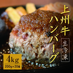 yӂ邳Ɣ[Łzy195zⓀ Bno[O4kgi200g×20j