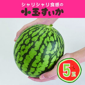 【ふるさと納税】【102】シャリシャリ食感の小玉すいか5玉 [商品発送:3～4月頃]