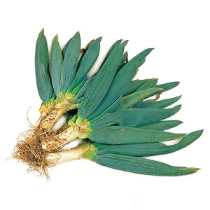 �y�ӂ邳�Ɣ[�Łz�H�ׂĂݓa�l�l�M3.5kg�`4kg�y1059540�z