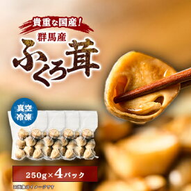 【ふるさと納税】貴重な国産ふくろ茸　袋茸　フクロタケ【冷凍真空パック】丸いもの4パック【配送不可地域：離島】【1241397】