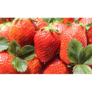 yӂ邳Ɣ[Łz䂢_@悢Ђ߁@2pbNyzsnFEkCEꌧEElEBzy1691427z