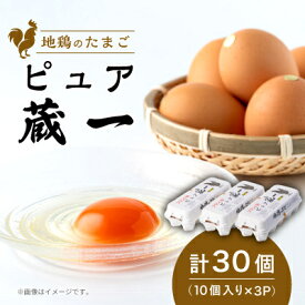 【ふるさと納税】アクザワファーム 卵 地鶏のたまご ピュア蔵一 10個入り×3個 (計30個) 群馬県 榛東村【1705439】
