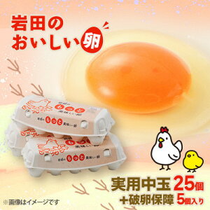 �y�ӂ邳�Ɣ[�Łz�y��������ցz��c�̂������������p����25��+�j���ۏ�5��(10����×3�p�b�N)�S3��y�z���s�n��F�����z�y4079447�z