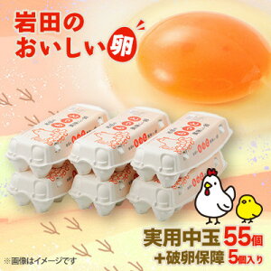 �y�ӂ邳�Ɣ[�Łz�y��������ցz��c�̂����������@���p����55��+�j���ۏ�5�� (10����×6�p�b�N)�S3��y�z���s�n��F�����z�y4079453�z