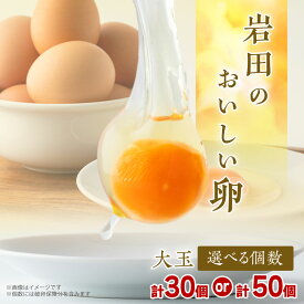 【ふるさと納税】岩田のおいしい卵厳選大玉(25個+破卵保障5個/45個+破卵保障5個)_ 卵 たまご タマゴ 生卵 鶏卵 鶏 大玉 大玉サイズ 卵かけご飯 玉子焼き 卵焼き 朝食 料理 群馬県 贈答 ギフト プレゼント 送料無料 【配送不可地域：離島】【G1081150】