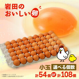 【ふるさと納税】岩田のおいしい卵　小玉破卵保証付き(49個+破卵保障5個/98個+破卵保障10個)【配送不可地域：離島】【G1092662】