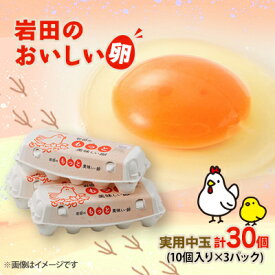 【ふるさと納税】岩田のおいしい卵実用中玉30個(10個入り×3パック)【配送不可地域：離島】【1039740】