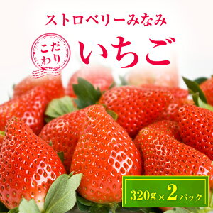 yӂ邳Ɣ[ŁzXgx[݂Ȃ @wx@320g×2pbNyzsnFzy1052500z