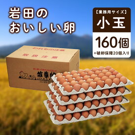 【ふるさと納税】【業務用サイズ】岩田のおいしい卵小玉160個+破卵保障20個入り【1092661】