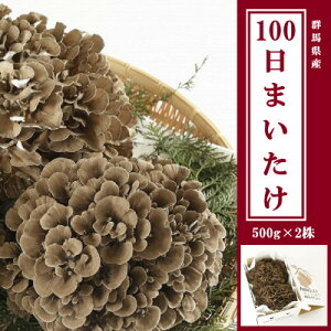 yӂ邳Ɣ[Łz100܂ 500g×2yzsnFzy1267432z
