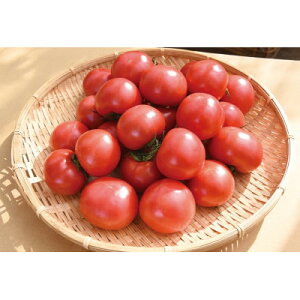 yӂ邳Ɣ[ŁzIc_̉lg}g(4kg)_ѐYb܎!y1343319z