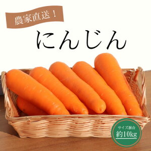 yӂ邳Ɣ[Łzɂ񂶂10kgyzsnFEꌧzy1478444z