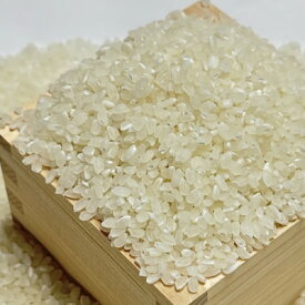 【ふるさと納税】吉岡町産コシヒカリ(GUDアグリ使用)精米10kg【1586064】