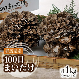 【ふるさと納税】100日まいたけ 500g×2株【配送不可地域：離島】【1267432】