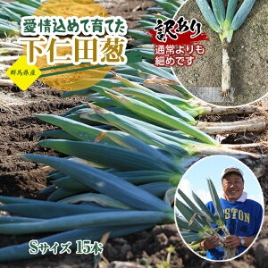 yӂ邳Ɣ[Łz󂠂iƒpj߂ĈĂmcKiSTCY 15{j Ƃ낯 Â ˂ lM l˂ al˂ Y h{Ղ uh B˂ ₫ F21K-569