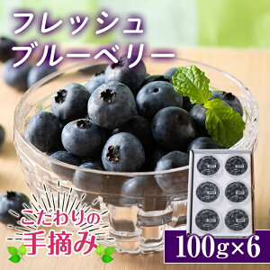 yӂ邳Ɣ[Łz ᐔʁEԌymcYz̎E VN u[x[ 600g tbV t[c ʕ AgVAj F21K-195