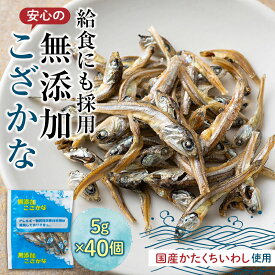 【ふるさと納税】給食使用で安心の無添加こざかな おやつ カルシウム いわし 骨 プレママ こども F21K-686