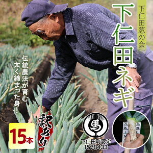 �y�ӂ邳�Ɣ[�Łz�󂠂�i�ƒ�p�j���m�c�K�̉�̉��m�c�K�iS�T�C�Y 15�{�j �Ƃ낯�� �Â� �˂� �l�M ���l�˂� �a�l�˂� ���Y �h�{�����Ղ� �u�����h ��B�˂� �����₫ F21K-591