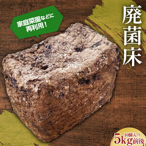 yӂ邳Ɣ[Łz ƒ؉ȂǂɍėpIpۏ 5kg   ̂ LmR ő  VC^P F21K-322