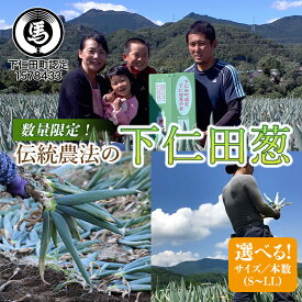 【ふるさと納税】伝統農法の下仁田葱 選べるサイズ S・M・L・LL 、本数 とろける 甘い ねぎ ネギ 王様ねぎ 殿様ねぎ 特産 栄養たっぷり ブランド 上州ねぎ すきやき 野菜 F21K-572var