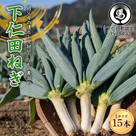 【ふるさと納税】【伝統野菜】祖父母の遺志を受継いだ ながい農園の下仁田ねぎ (Lサイズ15本) 群馬県 下仁田町産 家庭用 鍋 すき焼き F21K-554