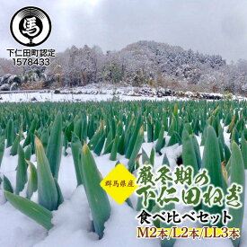 【ふるさと納税】厳冬期の下仁田ねぎ食べ比べセット（M2本・L2本・LL3本）とろける 甘い ねぎ ネギ 王様ねぎ 特産 栄養たっぷり ブランド 上州ねぎ すきやき F21K-564