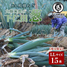 【ふるさと納税】別名“殿様ねぎ” 大澤農園の下仁田葱（LLサイズ 15本） とろける 甘い ねぎ ネギ 王様ねぎ 殿様ねぎ 特産 栄養たっぷり ブランド 上州ねぎ すきやき F21K-600
