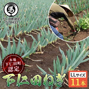 yӂ邳Ɣ[Łz{ꉺmcFK̉mc˂iLLTCY 11{j Ƃ낯 Â ˂ lM l˂ al˂ Y h{Ղ uh B˂ ₫  F21K-605