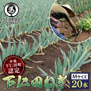 yӂ邳Ɣ[Łz{ꉺmcFK̉mc˂iMTCY 20{j Ƃ낯 Â ˂ lM l˂ al˂ Y h{Ղ uh B˂ ₫ F21K-607