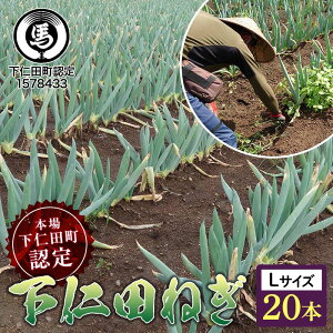yӂ邳Ɣ[Łz{ꉺmcFK̉mc˂iLTCY 20{j Ƃ낯 Â ˂ lM l˂ al˂ Y h{Ղ uh B˂ ₫ F21K-608