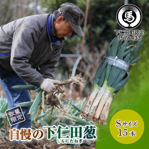 yӂ邳Ɣ[Łz̉mcKiS 15{j Ƃ낯 Â ˂ lM l˂ al˂ Y h{Ղ uh B˂ ₫ F21K-660