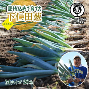 �y�ӂ邳�Ɣ[�Łz����߂Ĉ�Ă����m�c�K�iM�T�C�Y 20�{�j �Ƃ낯�� �Â� �˂� �l�M ���l�˂� �a�l�˂� ���Y �h�{�����Ղ� �u�����h ��B�˂� �����₫ F21K-671