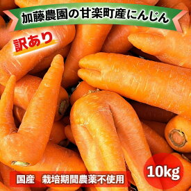 【ふるさと納税】[産地直送！訳あり] 加藤農園の甘楽町産にんじん 10kg｜訳あり品 人参 ニンジン 野菜 キャロット 国産 新鮮 農家直送 産地直送 煮物 かき揚げ 甘楽町 数量限定 期間限定 [0318]
