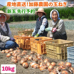 yӂ邳Ɣ[Łz[Vʁ^ߘa8N67oח\] YnI_̋ʂ˂ 10kgbʌ Ԍ ^}lM IjI ʔK Vʂ˂ Yn _ƒ  VN Y Êy