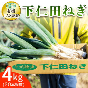 yӂ邳Ɣ[Łz[L@JASF] I[KjbNmclM (4kgA20{x)bʌ L@͔| mc˂  Ă K al˂ ~Mtg  Ε Ε g Yn Êy s