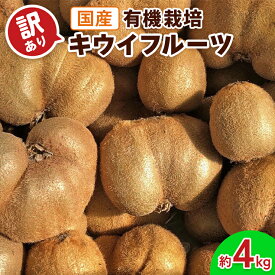 【ふるさと納税】[訳あり] 有機栽培キウイフルーツ (約4kg)[黒澤農園]｜数量限定 期間限定 キウイ ヘイワード 果物 果実 フルーツ 農家直送 産地直送 有機栽培 国産 甘楽町産 群馬県産 訳あり品 [0305]