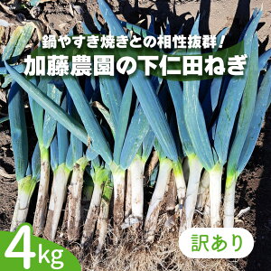 yӂ邳Ɣ[Łz[ʌ]y󂠂zYnI_̉mc˂ 4kg (ׂ) 2025N11{菇bs\ 󂠂i ~̖o mclM  Ă K lM al˂ g