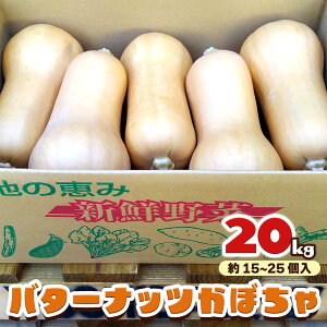 yӂ邳Ɣ[Łzo^[ibcڂ 20kg [ʌ^Ԍ] 8{菇bZ J{` Yn _ƒ  ÊyY QnY gc_ s\ [0215]