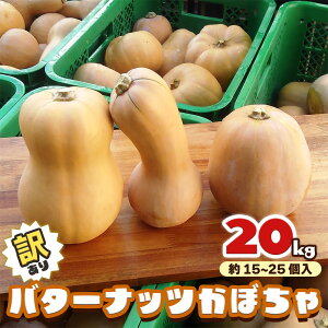 yӂ邳Ɣ[Łz[󂠂] o^[ibcڂ 20kgyʌ^ԌzbZ J{` Yn _ƒ  󂠂i ÊyY QnY gc_ A P [0216]
