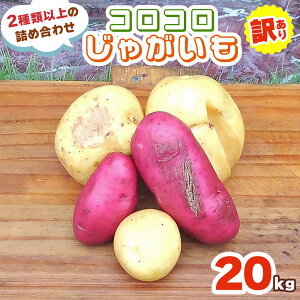yӂ邳Ɣ[Łz[󂠂] RRႪ 20kg (2ވȏ̋lߍ킹) 9{菇bႪ WKC |eg n鏒 Ƃ m[Ur[ bh[ [NC Y