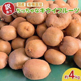 【ふるさと納税】[訳あり] ちっちゃなキウイフルーツ (約4kg) 有機栽培 [黒澤農園]｜数量限定 期間限定 キウイ ヘイワード 果物 果実 フルーツ 農家直送 産地直送 有機栽培 国産 甘楽町産 群馬県産 訳あり品 [0306]