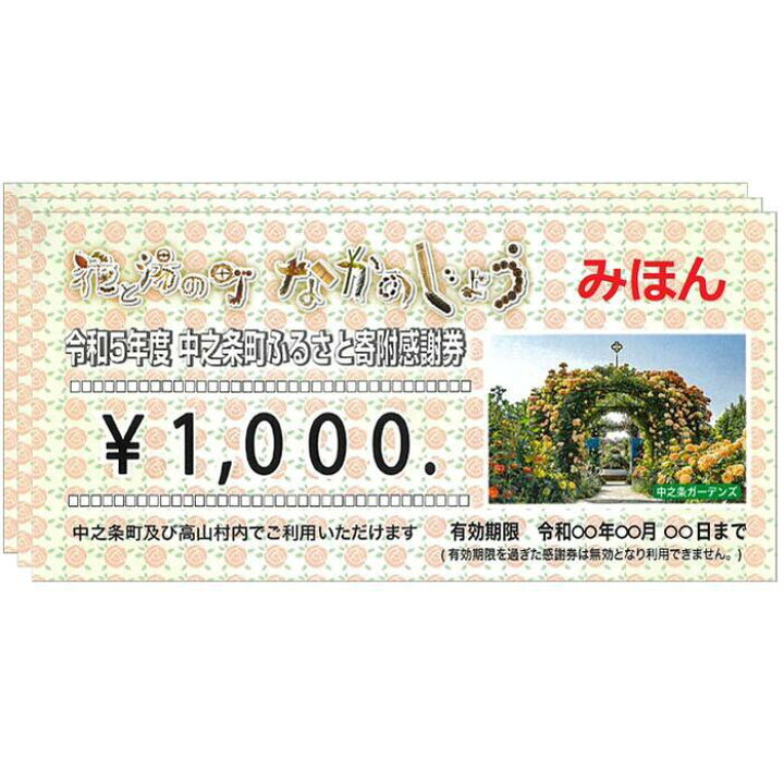 楽天市場】【ふるさと納税】中之条町ふるさと寄附感謝券3000円分 