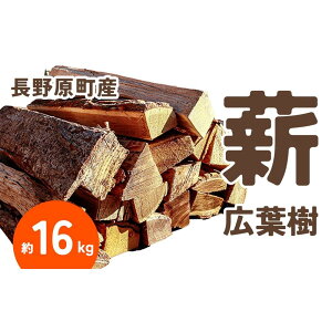 yӂ邳Ɣ[Łz쌴Y Ltΐdi16kgj i{[zyLv AEghA  \L Qn 쌴 kyz | AEghAObY lC  