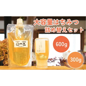 【ふるさと納税】長野原町産 生はちみつ 大容量600gパウチ ＋ 300gボトル 詰め替えセット【蜂蜜 ハチミツ ギフト 詰合せ 群馬県 長野原町 北軽井沢】 | ハニー 蜂蜜 食品 人気 おすすめ 送料無料
