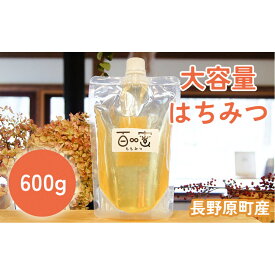 【ふるさと納税】長野原町産 生はちみつ 大容量600gパウチ | ハニー 蜂蜜 食品 人気 おすすめ 送料無料