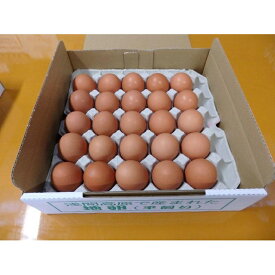 【ふるさと納税】有名レストラン、一流老舗旅館で使われる「浅間とり牧場卵」大玉25個【たまご 大容量 おすすめ 群馬県 長野原町 北軽井沢】 | 送料無料 群馬県 長野原町 たまご タマゴ ヨード 美味しさに 訳あり