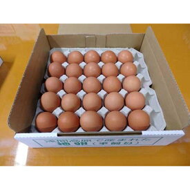 【ふるさと納税】有名レストラン、一流老舗旅館で使われる「浅間とり牧場卵」大玉50個【たまご 大容量 おすすめ 群馬県 長野原町 北軽井沢】 | 送料無料 群馬県 長野原町 たまご タマゴ ヨード 大容量 美味しさに 訳あり