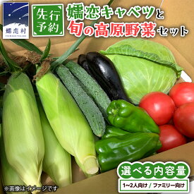 【ふるさと納税】【 8月下旬発送開始】 嬬恋 キャベツ と旬の 高原 野菜 セット 選べる内容量 旬の野菜 先行予約 きゃべつ 群馬 419 嬬恋キャベツ 産地直送 詰め合わせ アソート