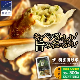 【ふるさと納税】 まぼろしのキャベツ419 使用 ザ・羽生田餃子 15個 × 定期便も選べる ( 合計 30個 から 300個 ) ぎょうざ 豚肉 ギョウザ 小分け キャベツ 419 特産品 人気 冷凍 中華 中華惣菜 惣菜 大容量 定期便
