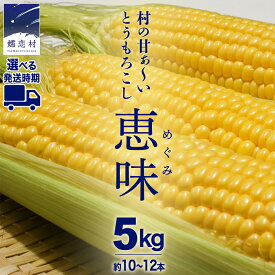 【ふるさと納税】甘～いトウモロコシ 恵味 5kg 約10～12本 《発送時期選べる》 とうもろこし 産地直送 羽生田売店 期間限定 先行予約 人気 朝採り お取り寄せ 関東 群馬 先行受付